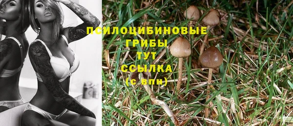 меф Нефтегорск