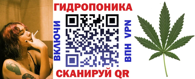 Конопля VHQ где купить наркоту Североморск